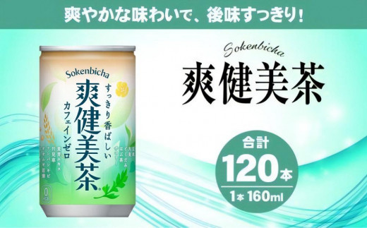 爽健美茶160g缶×120本 - 北海道札幌市｜ふるさとチョイス - ふるさと