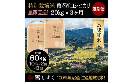 定期便！農家直送！県認証特別栽培魚沼産コシヒカリ【合計60kg】毎月20kg×3回