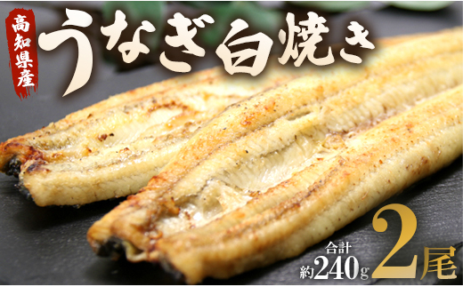 肉厚ふっくら香ばしい 台湾産養殖うなぎ蒲焼 2尾(合計約400g) ss-0033