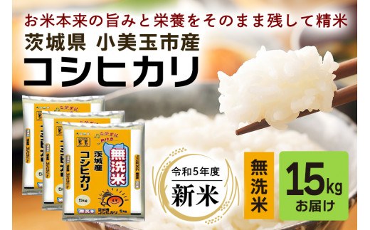 令和5年産新米】コシヒカリ 5kg こしひかり 米 白米 茨城県産 新米 お