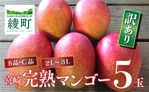 訳あり 完熟 マンゴー 2L 5玉 濃厚 高級 宮崎 果物 フルーツ 贈答 ギフト 甘い 先行受付 送料無料（14-80）