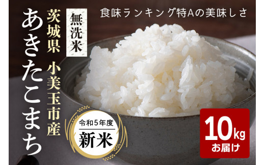 令和5年産新米】コシヒカリ 5kg こしひかり 米 白米 茨城県産 新米 お