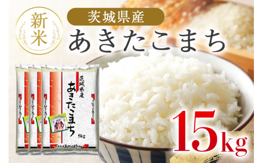 令和5年産新米】コシヒカリ 5kg こしひかり 米 白米 茨城県産 新米 お