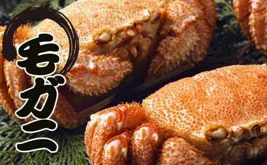 ykCszE-30007y12/21܂ŔNzz т400gO`550gO×6