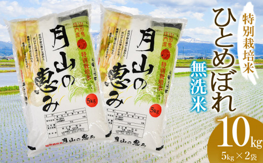 令和5年産】 特別栽培米 ひとめぼれ 無洗米 10kg（5kg×2袋 計10kg