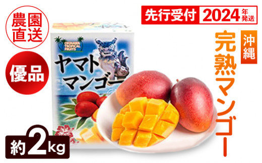 宮崎県産 完熟マンゴー 2kg パック-