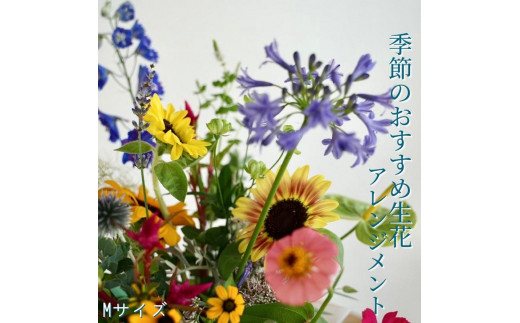 季節のおすすめ生花アレンジメントM 1個【らんまん 花 植物 お花