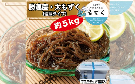 嘉保水産】勝連産・太もずく（塩蔵タイプ）約5kg プラスチック容器入り - 沖縄県うるま市｜ふるさとチョイス - ふるさと納税サイト