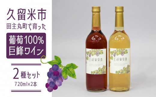 久留米市田主丸町で育った葡萄100％　巨峰ワイン２種セット（720ml×2本）