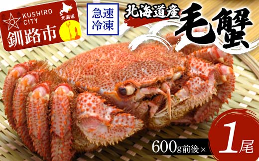 【北海道釧路市】北海道産毛蟹600g前後×1尾 北海道 カニ 毛ガニ 毛蟹 かに かに味噌 急速冷凍 活蟹 活毛蟹 活毛ガニ F4F-8644