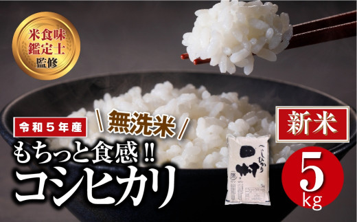 年内発送 12/24(日)決済完了分まで！／【 新米 令和5年産 】 田村産