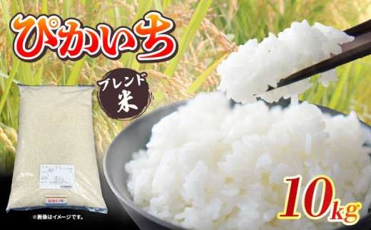 無洗米 15kg 金芽米 きぬむすめ 5kg×3袋 計量カップ 付き 静岡県産