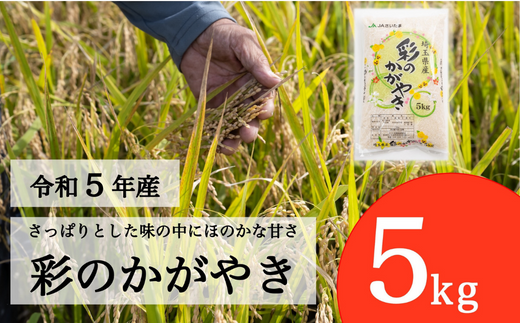 令和5年産】埼玉県産 彩のかがやき 5kg 【ブランド米 埼玉ブランド お米専用化粧箱 白米 国産 お米】 - 埼玉県北本市｜ふるさとチョイス -  ふるさと納税サイト