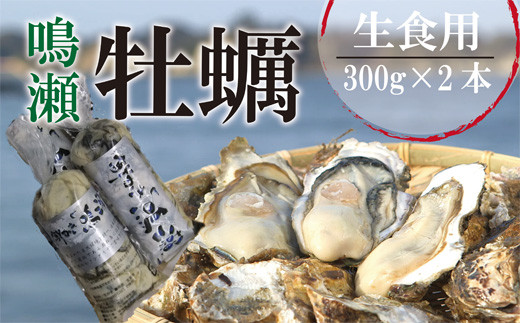 宮城県 奥松島産 鳴瀬かき 生食用 600g【到着日指定必須！】 牡蠣 かき カキ 生かき 生牡蠣 生牡蛎 むき身