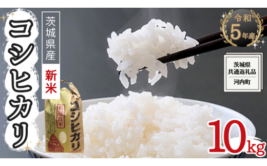 12/19入金確認分まで年内配送】 令和5年産 茨城県産 100％ コシヒカリ