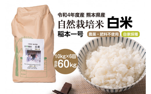 【6ヶ月定期便】令和4年度産 熊本県産 自然栽培米 稲本一号 白米 10kg 精米 お米
