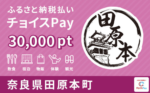 田原本町 チョイスPay 30,000ポイント - 奈良県田原本町｜ふるさとチョイス - ふるさと納税サイト