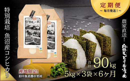 【通年受付】≪令和5年産≫【定期便／全6回】農家直送！魚沼産コシヒカリ特別栽培「白羽毛の米」精米15kg(5kg×3袋)×6回 計90kg