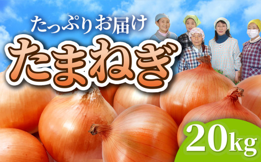 【先行予約】玉ねぎ 訳あり 20kg（74〜84個）M L サイズ 不揃い 皮剥け たまねぎ タマネギ オニオン 玉葱 金ケ崎町産 バラバラ 生食  たまねぎ スープ カレー おすすめ