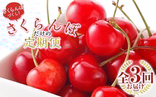 【山形県】【2026年発送先行予約】さくらんぼだけの定期便 全3回 FSY-1000