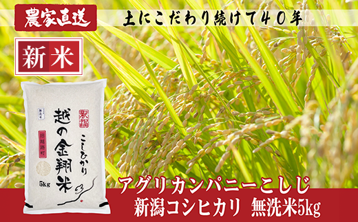 サンプル写真