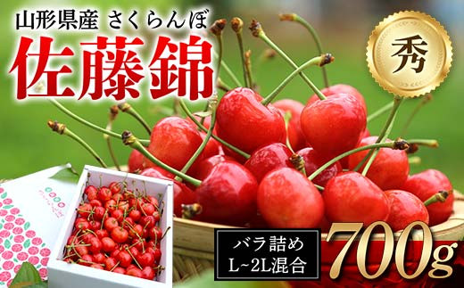 ≪先行予約≫ 2024年 山形県産 さくらんぼ 佐藤錦 バラ詰め 700g 秀 L