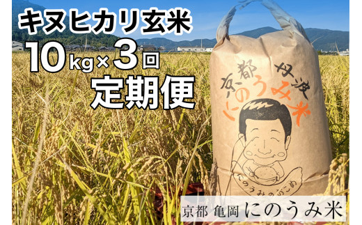 キヌヒカリ 玄米 10kg 京都府亀岡産