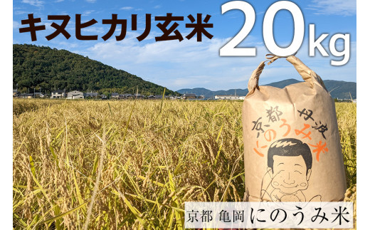 令和6年産先行予約】米 キヌヒカリ 玄米 20kg〈アグリにのうみ