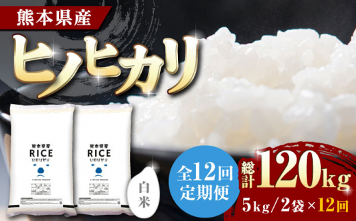 【全12回定期便】 ヒノヒカリ 白米 10kg【有限会社 農産ベストパートナー】定期便 10kg 精米 特A ヒノヒカリ ひのひかり コメ 米 お米  熊本県 熊本県産 ごはん 白米 [ZBP079]