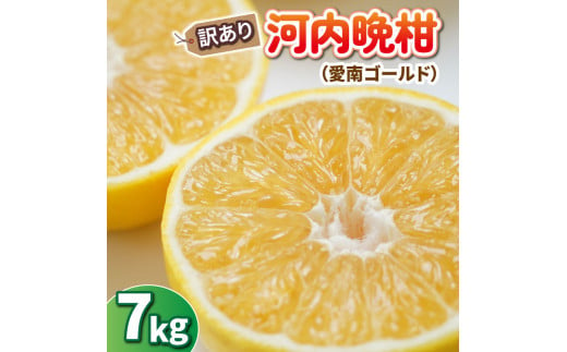 先行予約 訳あり 河内晩柑 7kg ひなたのみかん みかん 蜜柑 柑橘 愛南ゴールド オレンジ グレープフルーツ 果物 果実 果汁 ジュース フルーツ  国産 愛媛 愛南 発送期間:4月20日～5月25日 (なくなり次第終了)