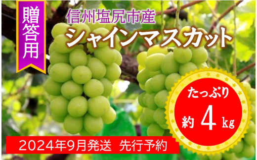 2024年発送 先行予約【贈答用】シャインマスカット約4kg - 長野県塩尻市｜ふるさとチョイス - ふるさと納税サイト