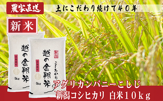 新米　令和3年度産　新潟こしひかり　10kg(5kg×2袋)　特別栽培米