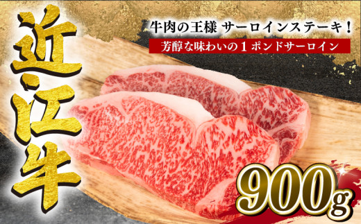 yꌧzߍ] T[CXe[L 900g Ⓚ јa ( Xe[L 1|h uh  a { Oa y  蕨 Mtg Y ꌧ   _ˋ ㋍