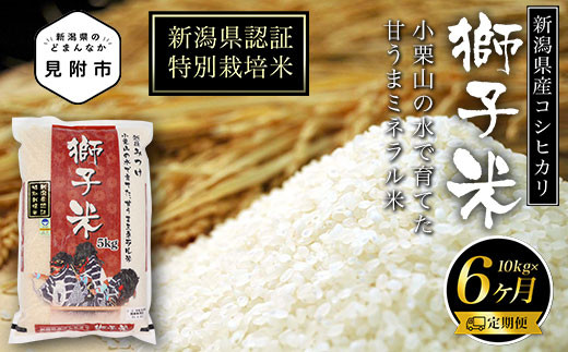 新潟 特別栽培米 令和5年産 コシヒカリ 「獅子米」 精米 30kg