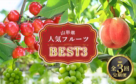 yR`zy2026Ns\zR`lCt[cxXg3 S3 FSY-2341