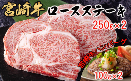 宮崎県産 黒毛和牛 赤身 焼肉 800g (400g×2) 牛肉 炒め BBQ