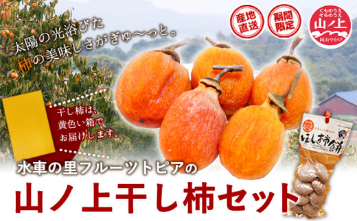 28.【先行予約】 山ノ上 干し柿 セット 《2026年12月上旬-12月末頃出荷