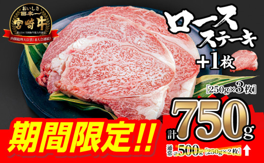 宮崎牛 ロースステーキ 250g×3枚 合計750g【ミヤチク 宮崎牛 牛肉 牛肉