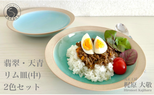 A40-182 翡翠・天青リム皿（中）2枚セット カレー皿 パスタ皿 食器
