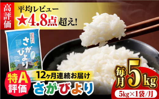 受付一時停止中〉【5kg✕12回定期便】【令和5年産】さがびより 計60kg