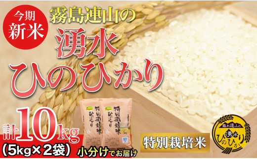 新米／霧島連山の湧水ヒノヒカリ特別栽培米 10kg（国産 米 新米 令和５年新米 精米済み 小分け 送料無料） - 宮崎県小林市｜ふるさとチョイス -  ふるさと納税サイト