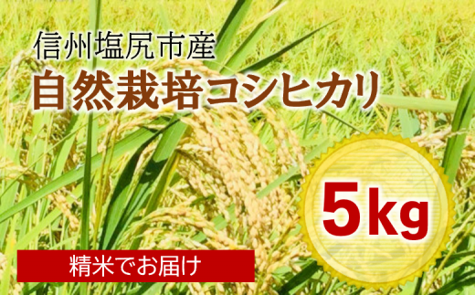 自然栽培コシヒカリ小太郎米（精米出荷）5Kg [5963955] 長野県塩尻市｜ふるさとチョイス ふるさと納税サイト