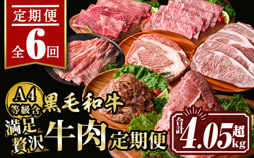 isa513 【定期便６回】満足贅沢 牛肉定期便(合計4.05kg超