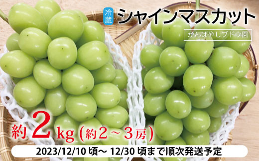 サンプル写真