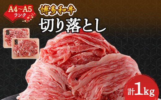 yszA4`A5a؂藎Ƃ 1kg (500g×2pbN)_   a ؂藎 ؂藎Ƃ јa a 1kg uh Y Y s Ⓚ A4 A5 500g _炩 v~A
