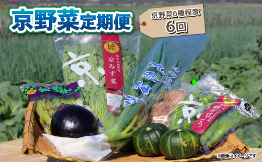 ys{zy 6 z   6 x  6 lߍ킹 s ؃Zbg G { h{H h{ lM 莛 ΂Ȃ s{Y ʌ ① T_ N BBQ o[xL