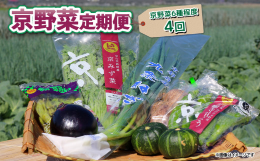 ys{zy 4 z   6 x  4 lߍ킹 s ؃Zbg G { h{H h{ lM 莛 ΂Ȃ s{Y ʌ ① T_ N BBQ o[xL