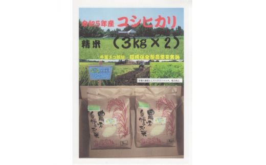 ふるさと納税 茂原市 令和5年産 千葉県産コシヒカリ 精米 15kg(5kg×3袋