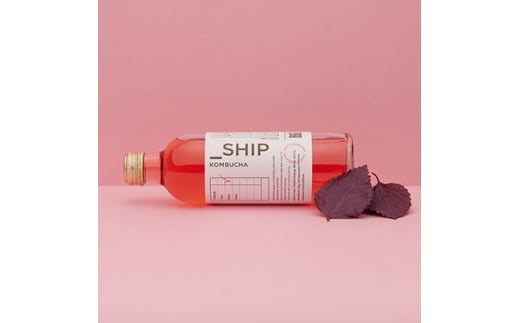 _SHIP KOMBUCHA SHISOシソ(300ml×12本セット)【1148440】