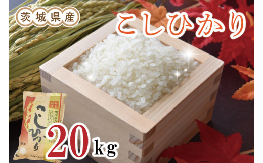 EN-6_1　茨城県産コシヒカリ20kg（令和5年産）※離島への配送不可